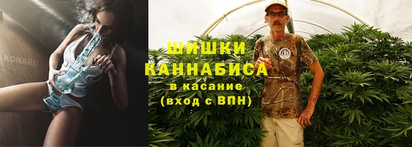 хмурый Богородицк